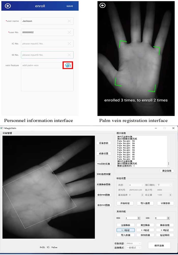 Palm vein module scan